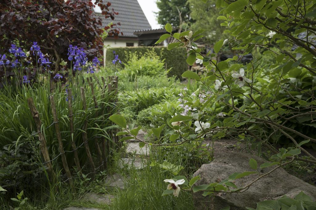 Bed & Breakfast Horsens Exteriér fotografie